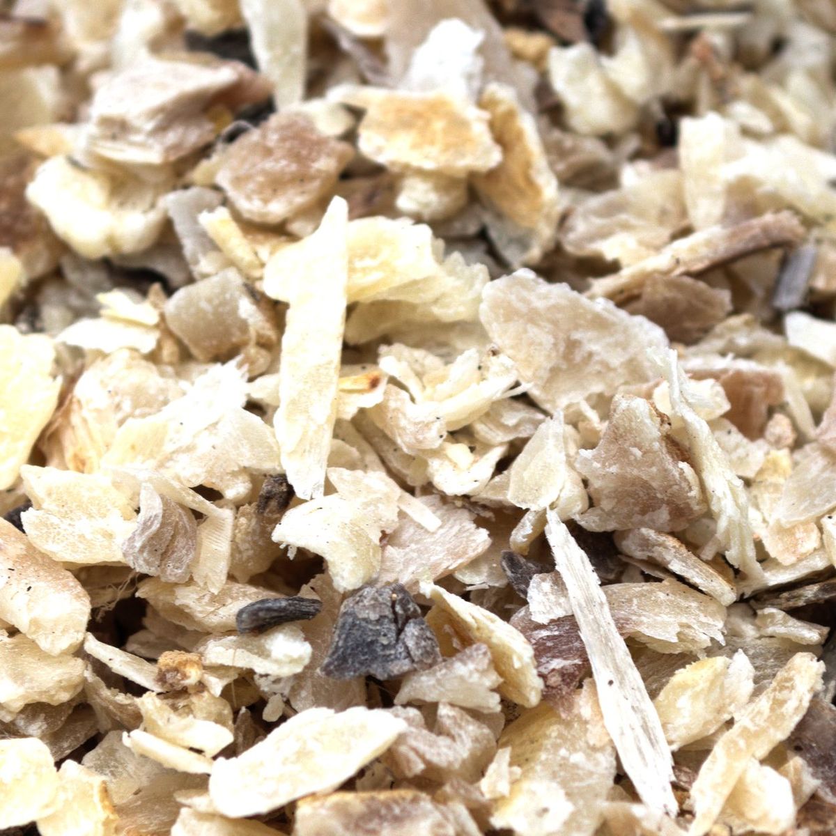 corne broyée arbres fruitiers palissés