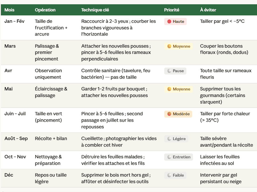 Entretien palmette à la diable